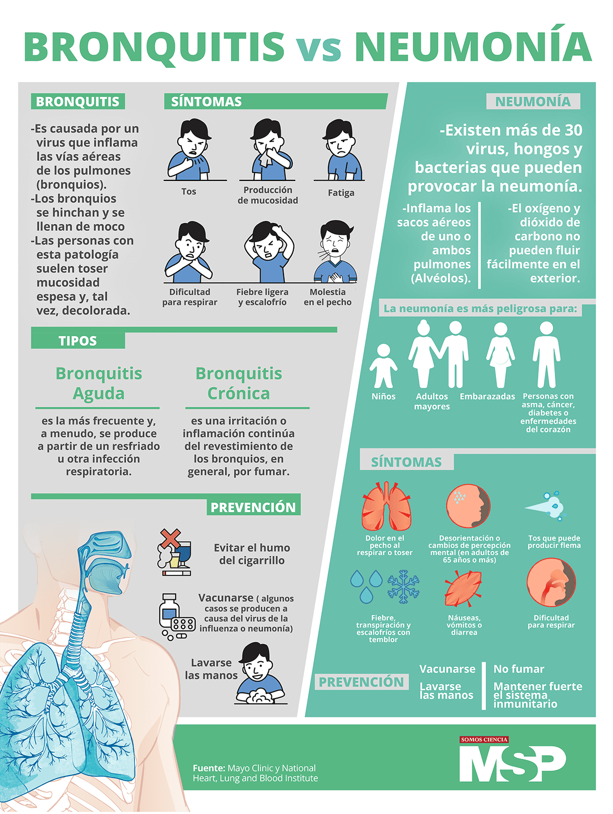 Bronquitis Vs Neumon A Infograf A