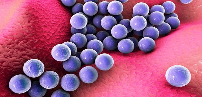 Un estudio revela que la infección por estafilococo resistente a la meticilina compromete la función linfática