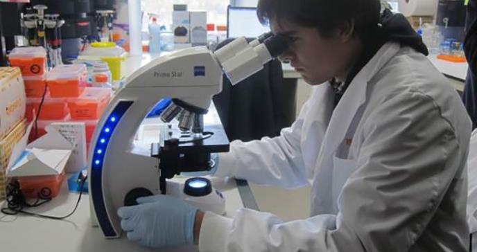 Científicos avanzan en el uso de células madre para enfermedades incurables