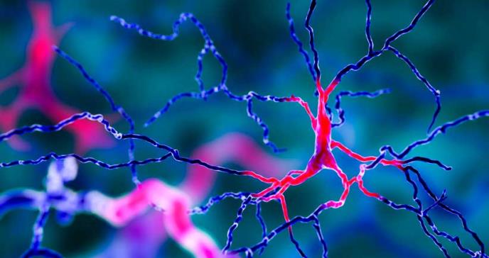 Análisis de sangre de IA predeciría la progresión de la enfermedad neurodegenerativa