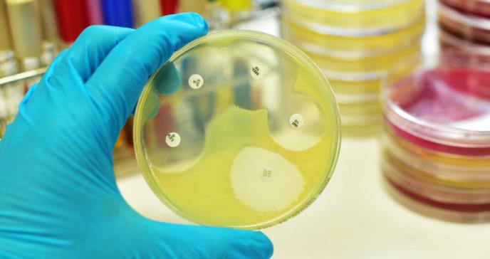 Antibióticos para tratar complicaciones del COVID-19 alimentarían bacterias resistentes