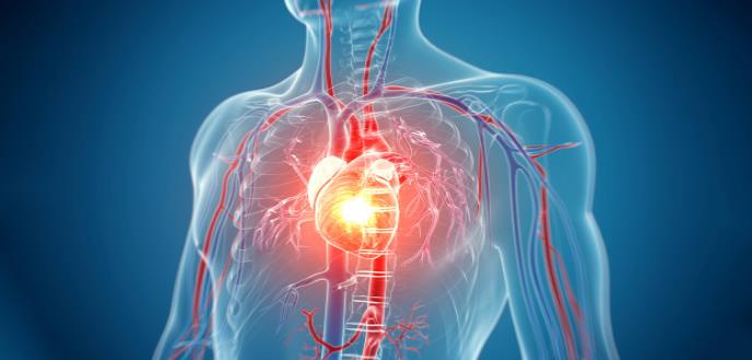 Amiloidosis Cardiaca: Evaluación, Diagnóstico y Tratamiento