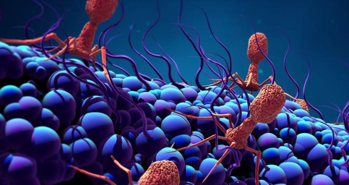 Bacteriófagos: virus diseñados en laboratorio para combatir la resistencia a los medicamentos