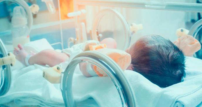 Investigación sugiere que movilidad temprana de neonatos intubados podría ser segura