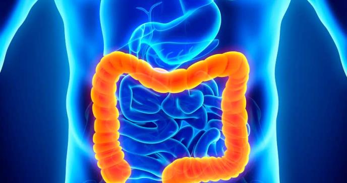 El bloqueo de una enzima podría mejorar la terapia de la enfermedad inflamatoria intestinal