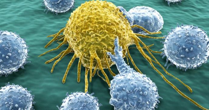 Células cancerosas recurren al canibalismo para sobrevivir a la quimioterapia