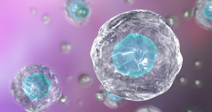 Científicos descubren la puerta de entrada del coronavirus a las células humanas