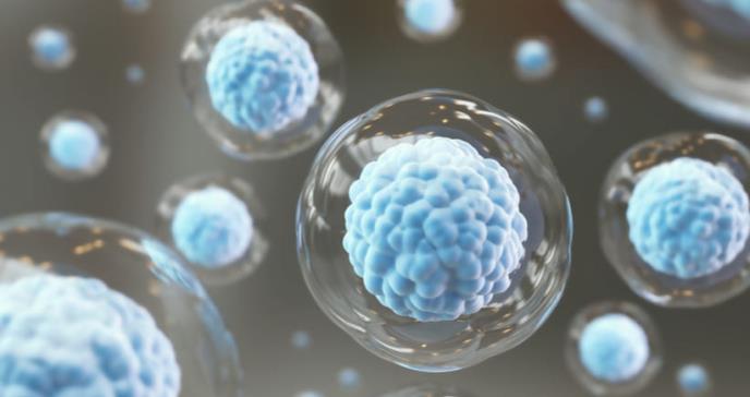 Las células inmunes destruyen infecciones y cáncer con bombas de proteínas