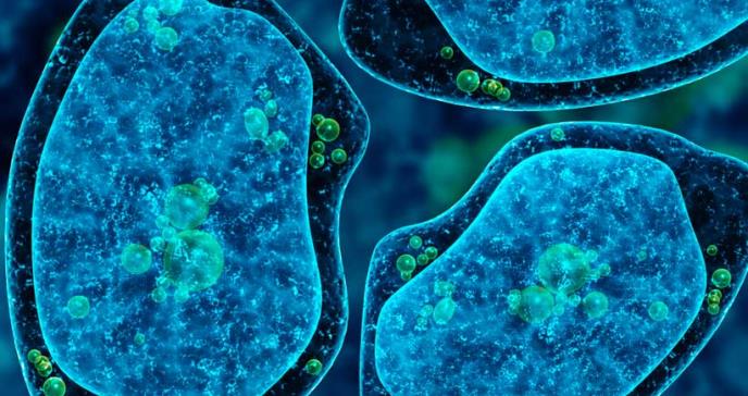 Científicos trabajan en la creación de amebas incapaces de adherirse al intestino