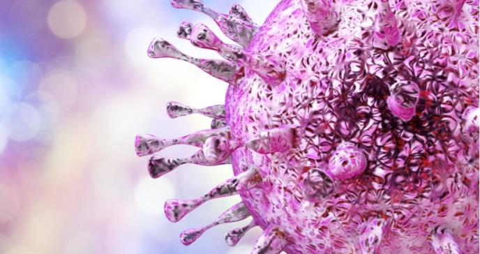 Crean células artificiales que combaten el citomegalovirus (CMV)