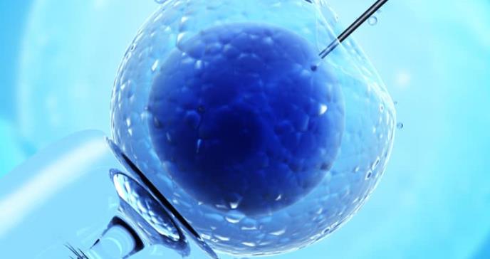 Crean embriones animales con células humanas para transplantes de órganos