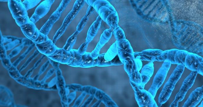 Descubierta una nueva causa genética de infertilidad