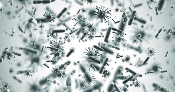 Descubren antibiótico capaz de matar a las bacterias más resistentes