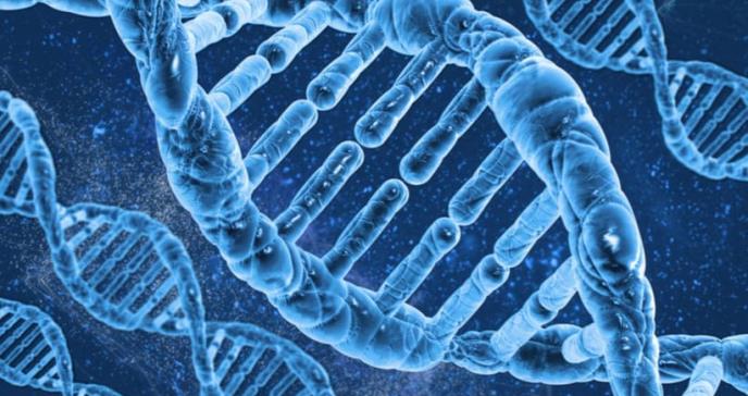 Detectan firma genética común en tres enfermedades cutáneas raras