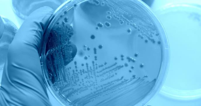 EE.UU. alerta de un misterioso brote de E.coli que ya afecta a 72 personas en cinco estados