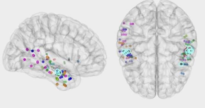 El hipocampo orquesta el proceso cerebral que permite evocar un recuerdo
