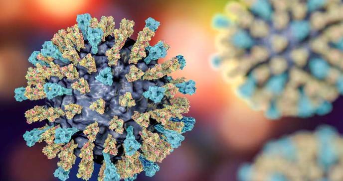 El virus del sarampión destruye la memoria del sistema inmunitario