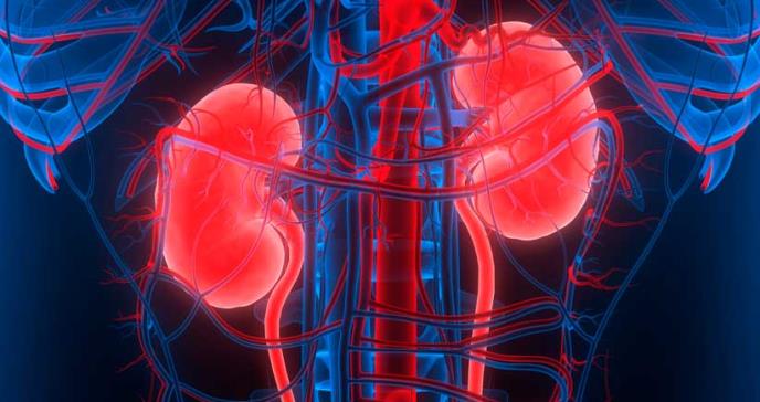 Enfermedad cardiaca podría aumentar el riesgo de insuficiencia renal