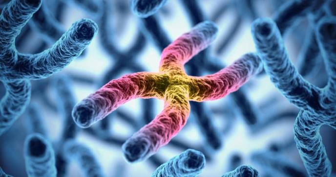 Estudio de genomas multiétnicos identifica 27 variantes genéticas asociadas a las enfermedades