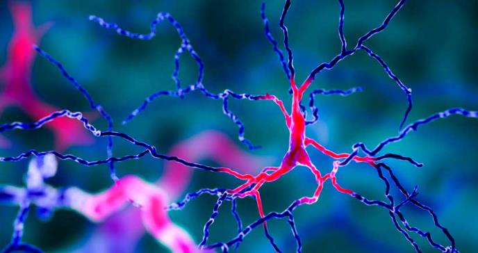 Pacientes con alzhéimer presentan más mutaciones de ADN en sus neuronas, según investigación