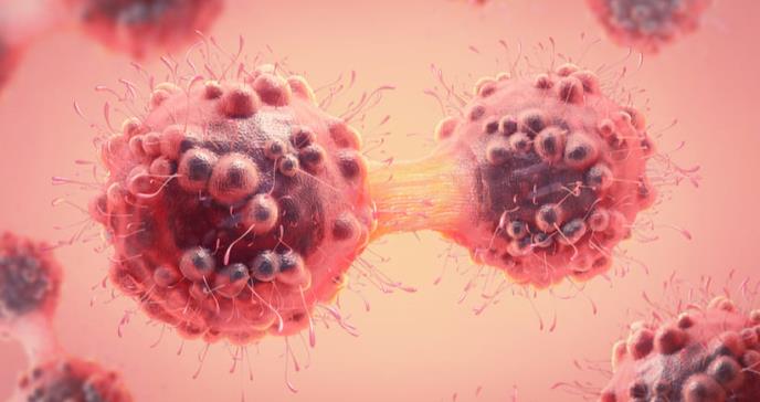 Hallan proteína que frena el crecimiento y progresión del cáncer mamario