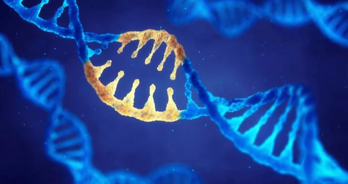 Identifican mutaciones que podrían ser responsables de la esclerosis múltiple en varios miembros de una familia