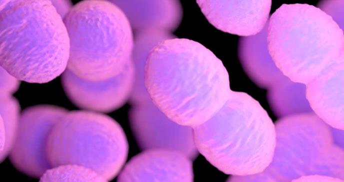 Identifican punto débil de superbacteria resistente a los medicamentos