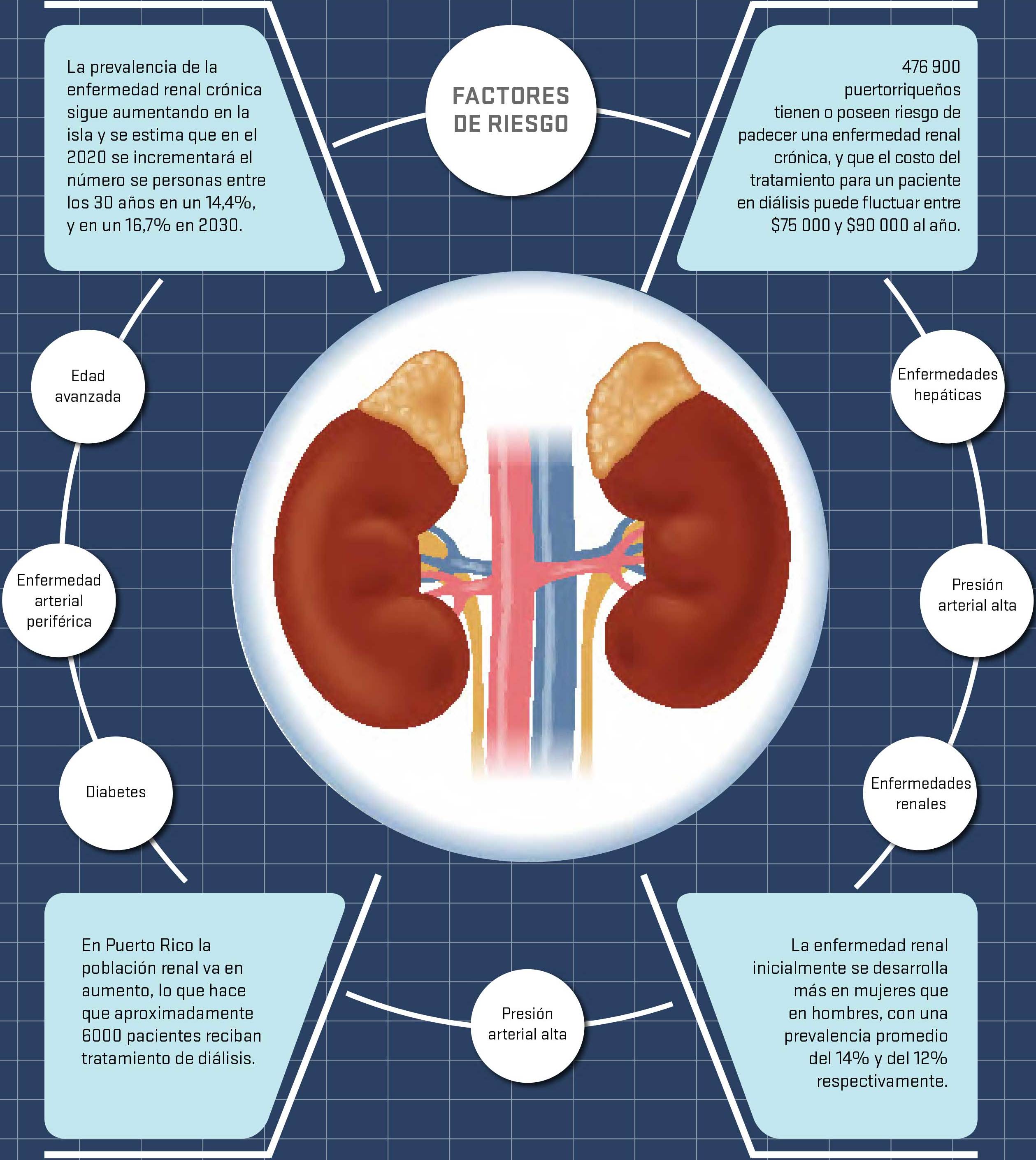 Insuficiencia Renal Aguda Nefrologia Al Dia Images 4578