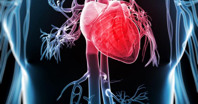 El corazón de las personas en EE.UU. envejece más rápido que otros órganos