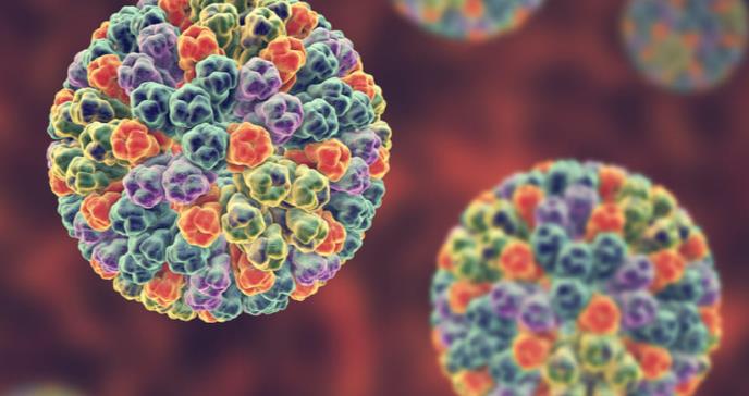 La mecánica del rotavirus encierra claves de la infección
