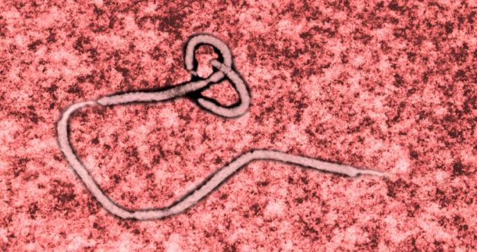 La OMS declara el brote de ébola en el Congo emergencia internacional