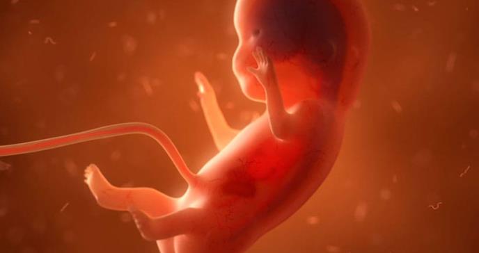 Las bacterias que se transmiten en el útero se relacionan con el nacimiento prematuro