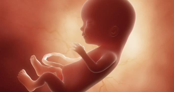 Las impresionantes imágenes de un feto moviéndose en el vientre de su madre que permiten diagnosticar mejor las cardiopatías