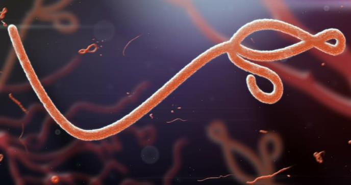 Cinco lecciones que el ébola le dejó al mundo