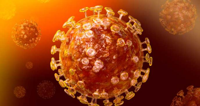 Los CDC confirman el primer caso de coronavirus de China en EE.UU.