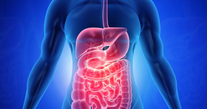 Los síntomas digestivos fueron la “queja principal” en casi la mitad de los casos de Covid-19, según un pequeño estudio