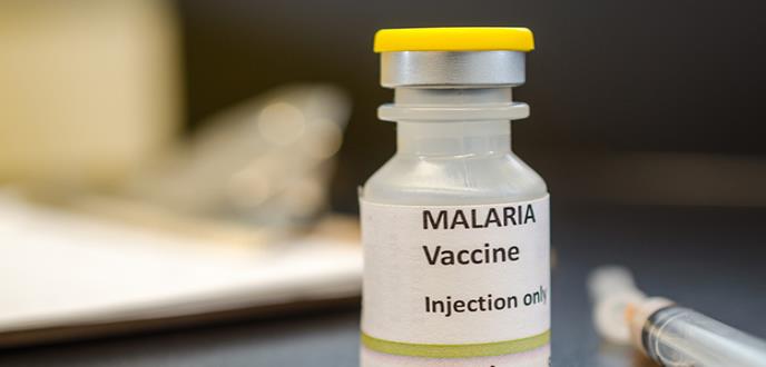 El parásito de la malaria se hace supermutante para resistir al arsenal de fármacos