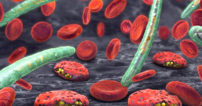 Las células cerebrales pueden detectar los parásitos de la malaria en la sangre