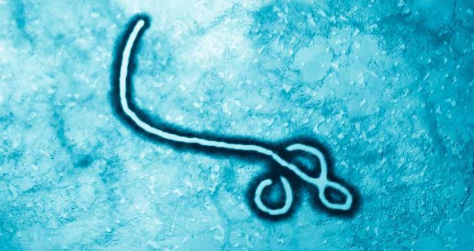 Medicamentos reducirían el riesgo de muerte por el virus del ébola