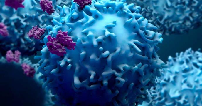 Nanopartículas podrían activar respuestas inmunes a las células cancerosas