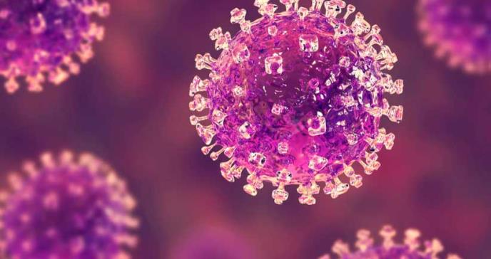 Científicos identifican posibles inhibidores del virus Nipah