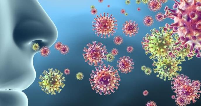 Un solo coronavirus puede generar 100.000 ‘hijos’ a partir de una sola célula humana