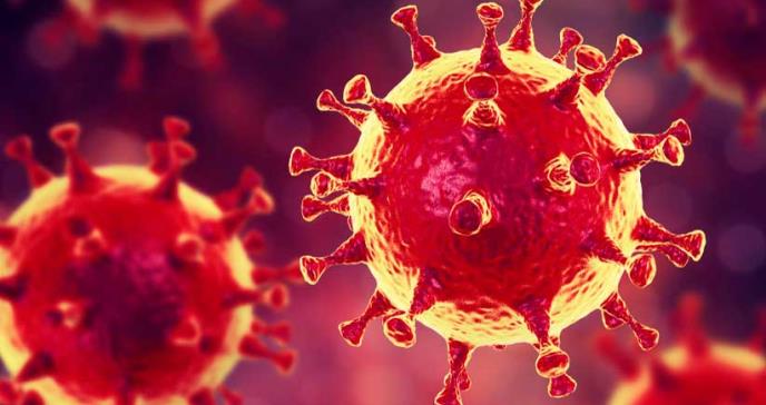 Qué es el nuevo coronavirus responsable de una misteriosa neumonía en China