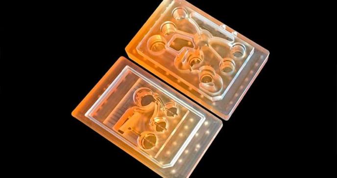 Nuevo microchip replica las funciones de 10 órganos del cuerpo