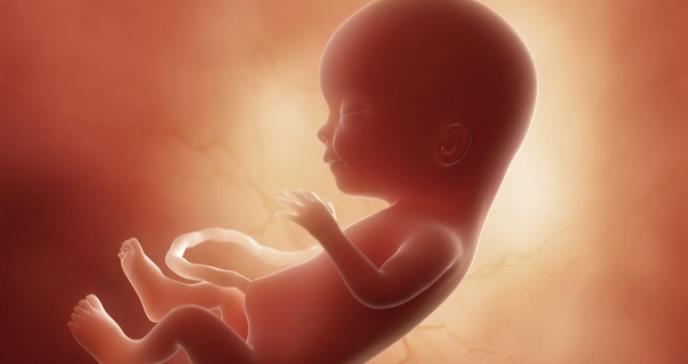 Operan por primera vez de espina bífida a un feto sin sacarlo del útero de la madre