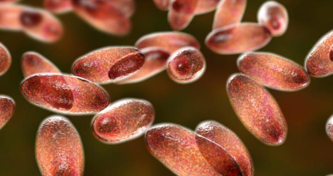 ¿Qué es la peste bubónica? Síntomas, causas y tratamiento