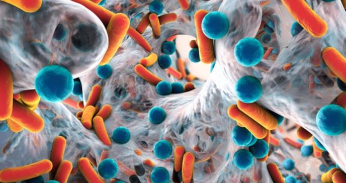 Descubren nueva causa asociada a la resistencia bacteriana contra antibióticos