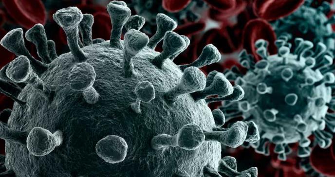 ¿Qué le hace el coronavirus al cuerpo de los infectados?
