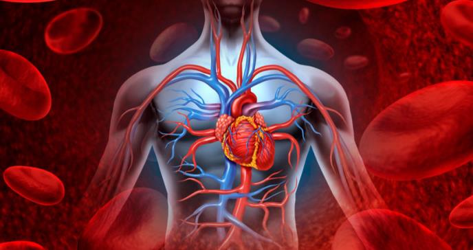 La psoriasis podría incidir en el padecimiento de enfermedades cardiovasculares