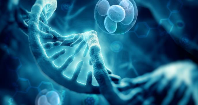 Mutación de un gen sería impulsor en el desarrollo del sarcoma de Ewing